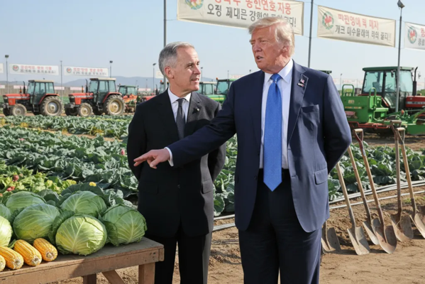 Kimjongun variation 6